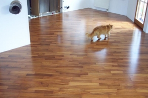 10 Fertigparkett Jatoba