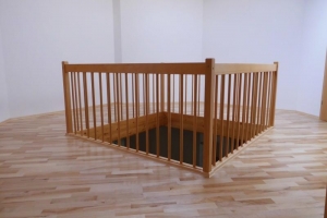 20 Fertigparkett can. Ahorn rust